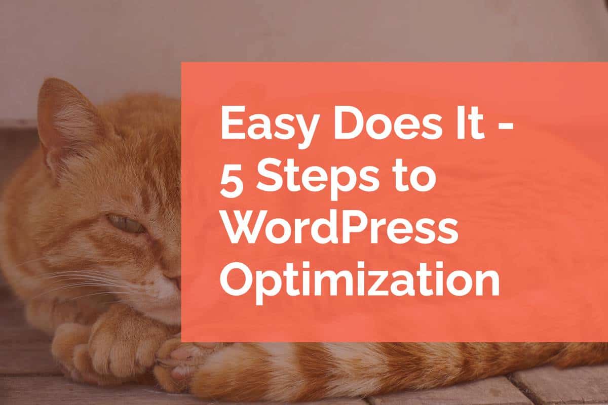 easy-does-it-5-steps-to-wordpress-optimization-pixel-jar